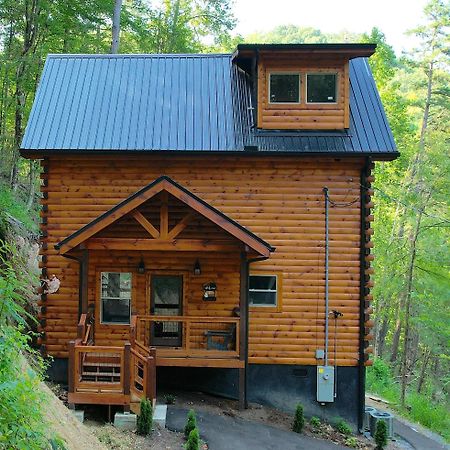 Hawks Nest Mountain Cabin Sevierville Exteriér fotografie